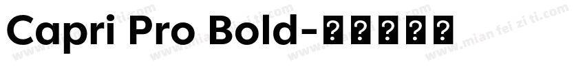 Capri Pro Bold字体转换